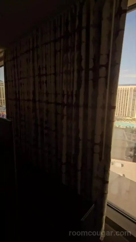 Ultra Resort Room, 1 King (#2178) view picture #6