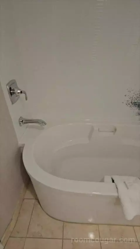 Ultra Resort Room, 1 King (#2178) bathroom picture #3
