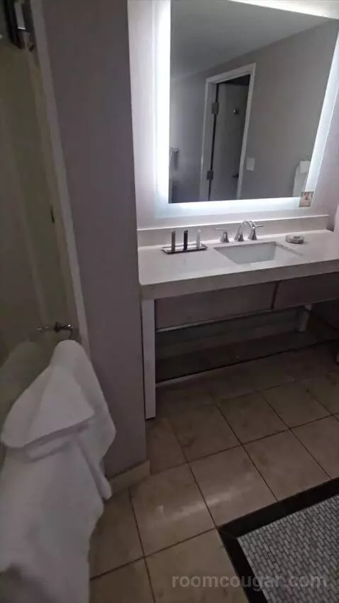 Ultra Resort Room, 1 King (#2178) bathroom picture #7