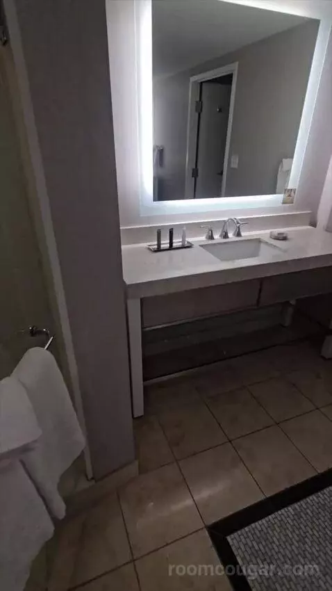 Ultra Resort Room, 1 King (#2178) bathroom picture #8