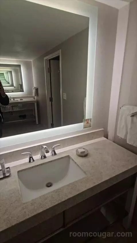 Ultra Resort Room, 1 King (#2178) bathroom picture #9