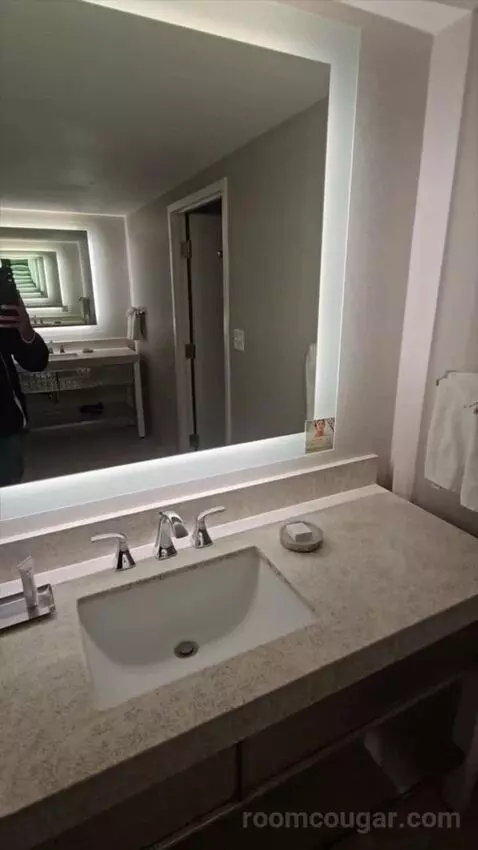 Ultra Resort Room, 1 King (#2178) bathroom picture #10