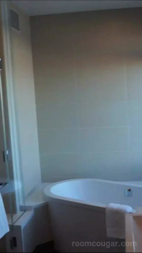One Bedroom Loft (#56015) bathroom picture #10