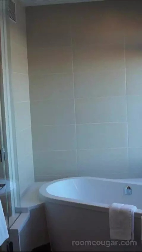 One Bedroom Loft (#56015) bathroom picture #11