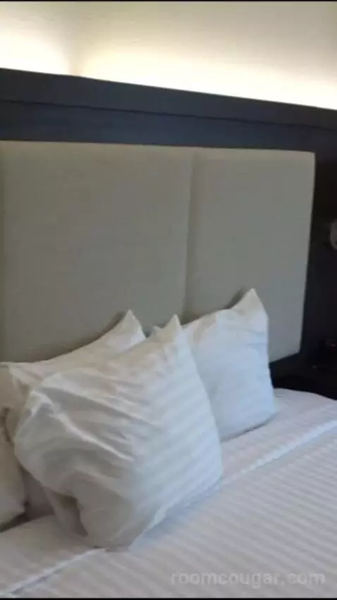 Elite 1 King (#21090) bed picture #1