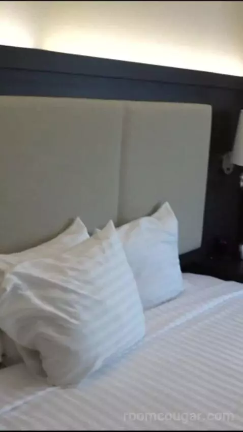 Elite 1 King (#21090) bed picture #2