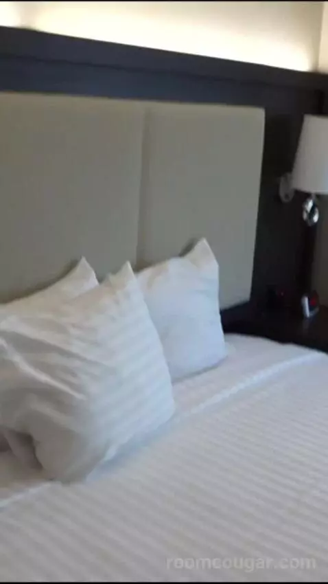Elite 1 King (#21090) bed picture #3