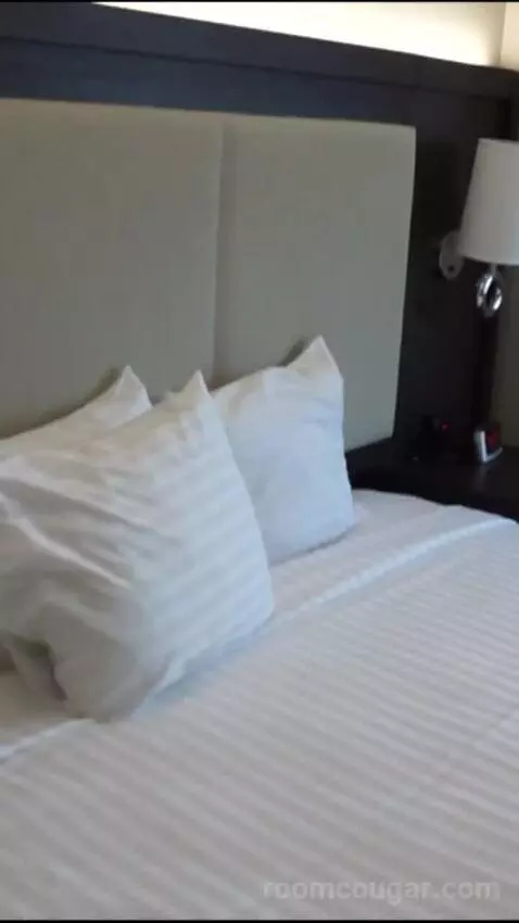 Elite 1 King (#21090) bed picture #4