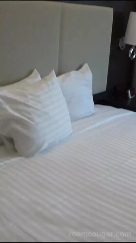 Elite 1 King (#21090) bed picture #5