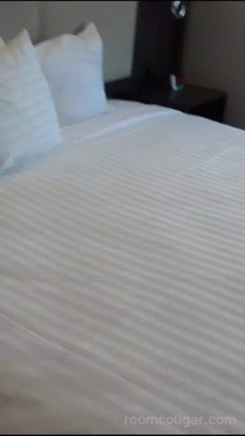 Elite 1 King (#21090) bed picture #6
