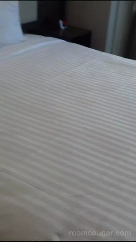 Elite 1 King (#21090) bed picture #7