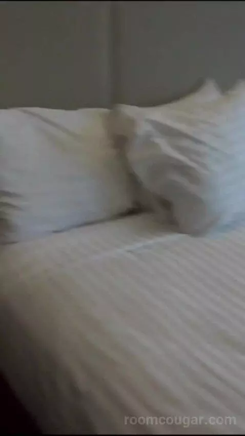 Elite 1 King (#21090) bed picture #8