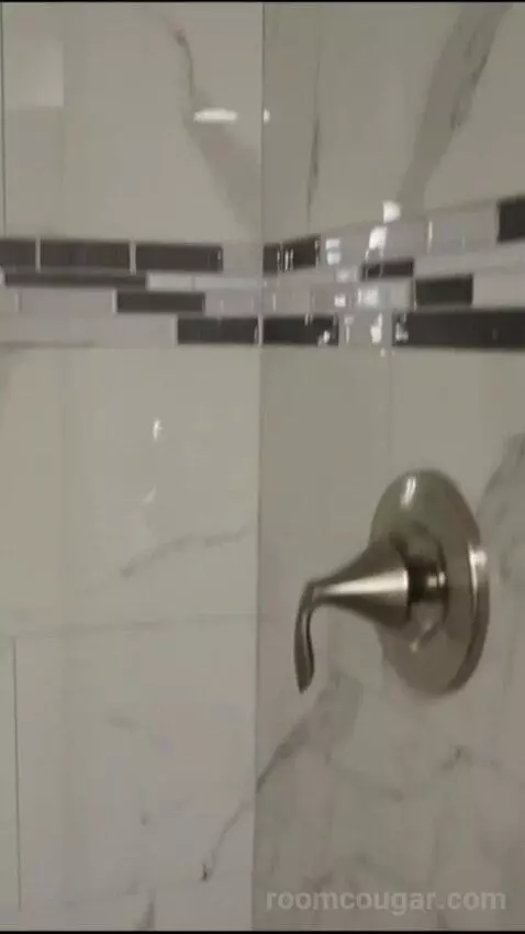 Elite 1 King (#21090) bathroom picture #1
