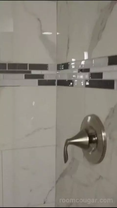Elite 1 King (#21090) bathroom picture #2