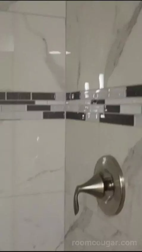 Elite 1 King (#21090) bathroom picture #3