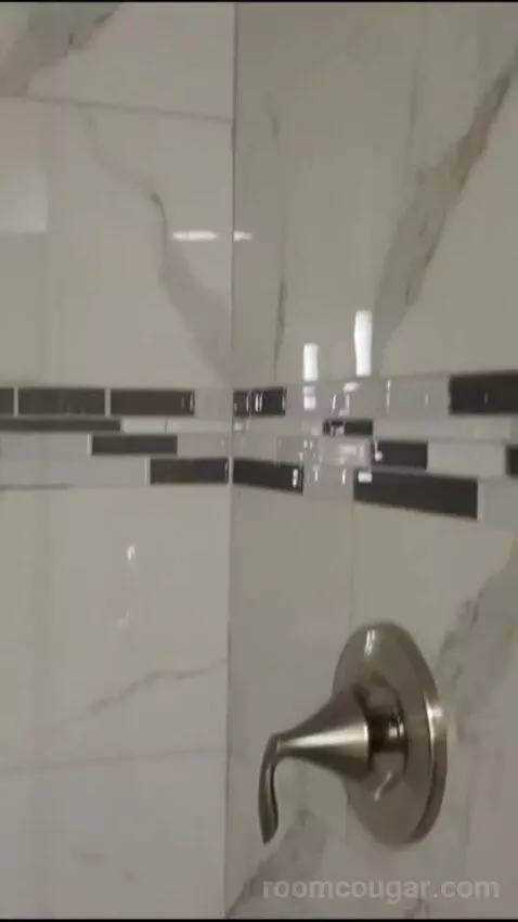 Elite 1 King (#21090) bathroom picture #4