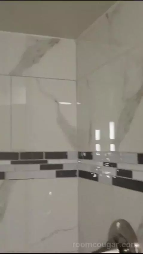 Elite 1 King (#21090) bathroom picture #8