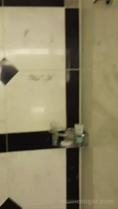 Grand King (#7229) bathroom picture #9