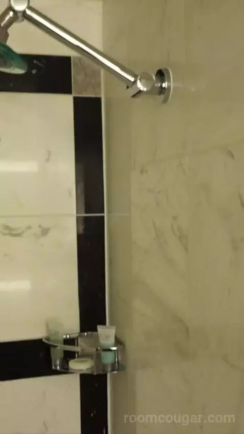 Grand King (#7229) bathroom picture #12