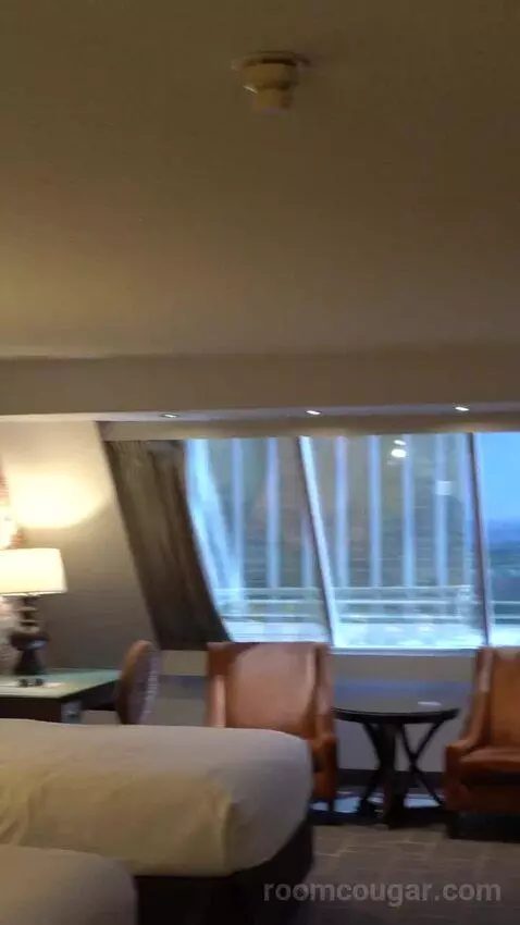 Pyramid Premier Two Queen (#16029) bed picture #5