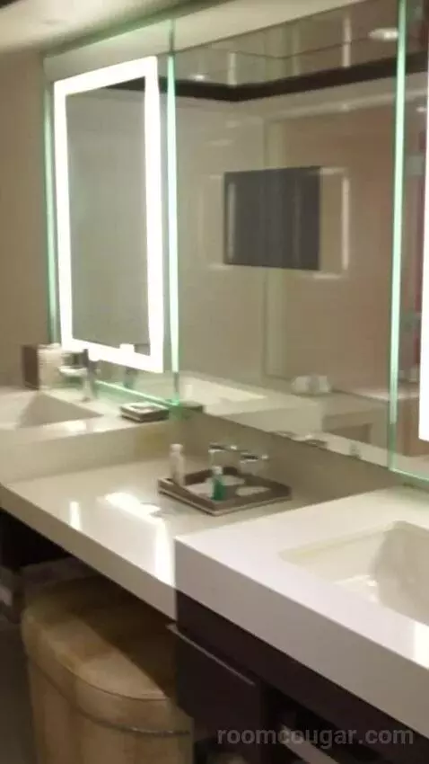 Skyline Terrace Suite (#25426) bathroom picture #1