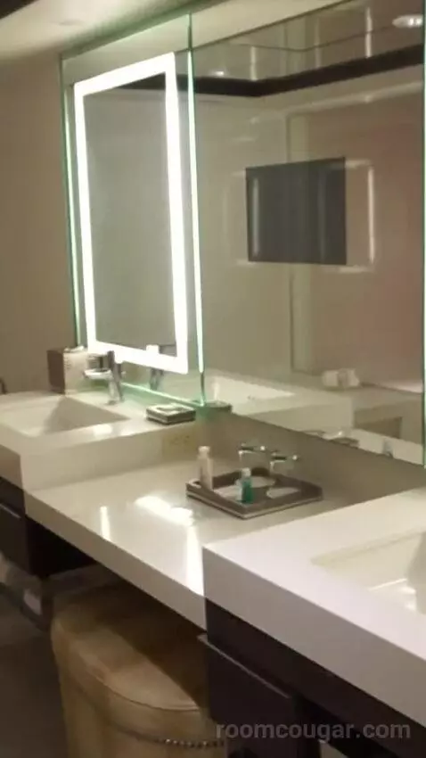 Skyline Terrace Suite (#25426) bathroom picture #2