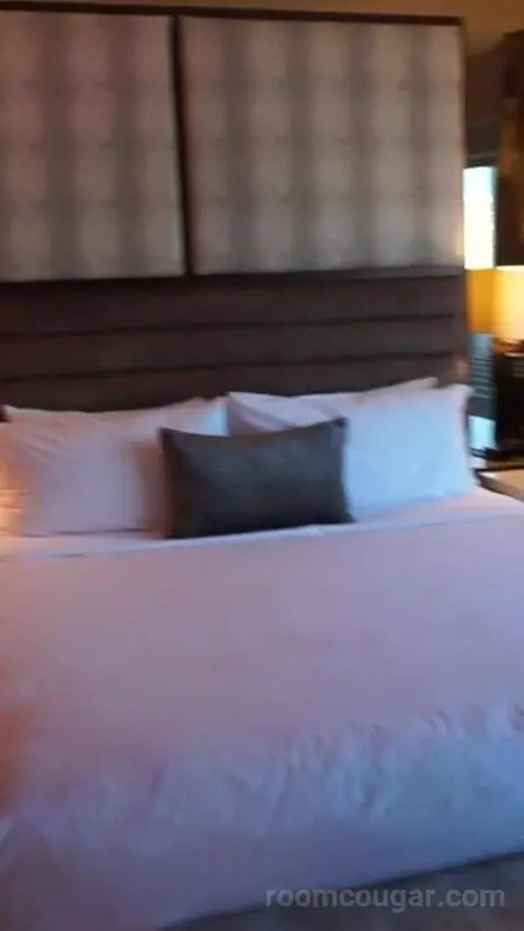 Skyline Terrace Suite (#25426) bed picture #4