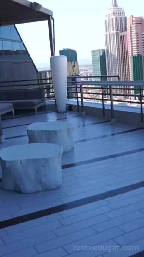 Skyline Terrace Suite (#25426) view picture #5
