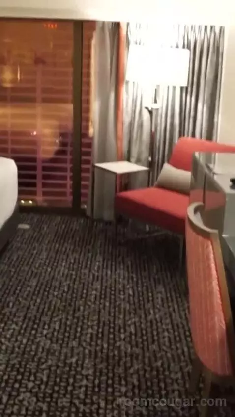 thevegasparadise's review preview (Flamingo Las Vegas Hotel & Casino)