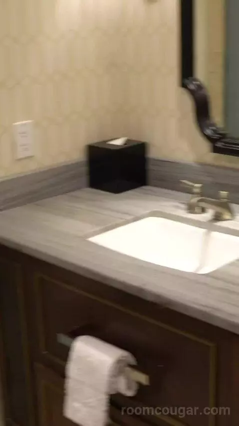 Julius Executive Duplex Suite (#1358) bathroom picture #7