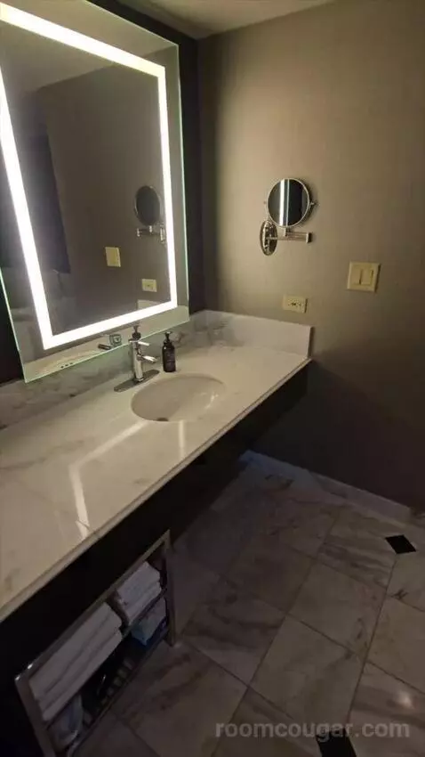 Tower Spa Suite (#13339) bathroom picture #1