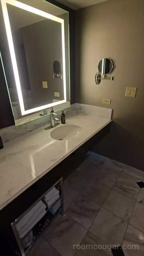Tower Spa Suite (#13339) bathroom picture #2