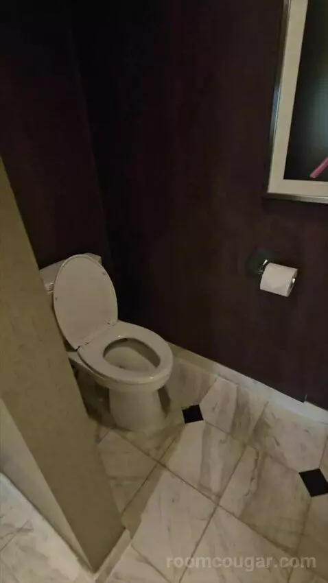 Tower Spa Suite (#13339) bathroom picture #3