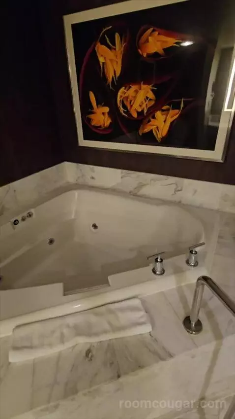 Tower Spa Suite (#13339) bathroom picture #5