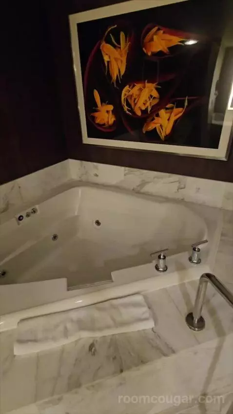 Tower Spa Suite (#13339) bathroom picture #6