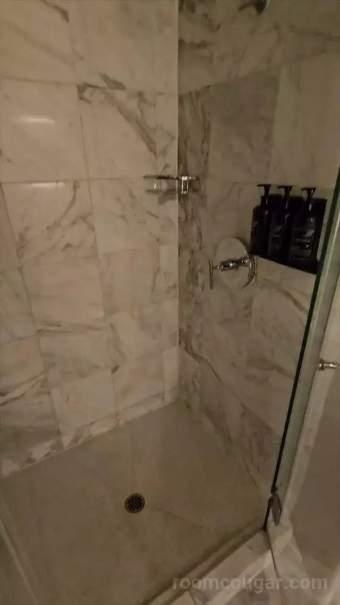 Tower Spa Suite (#13339) bathroom picture #7