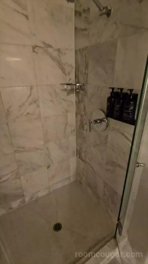 Tower Spa Suite (#13339) bathroom picture #8