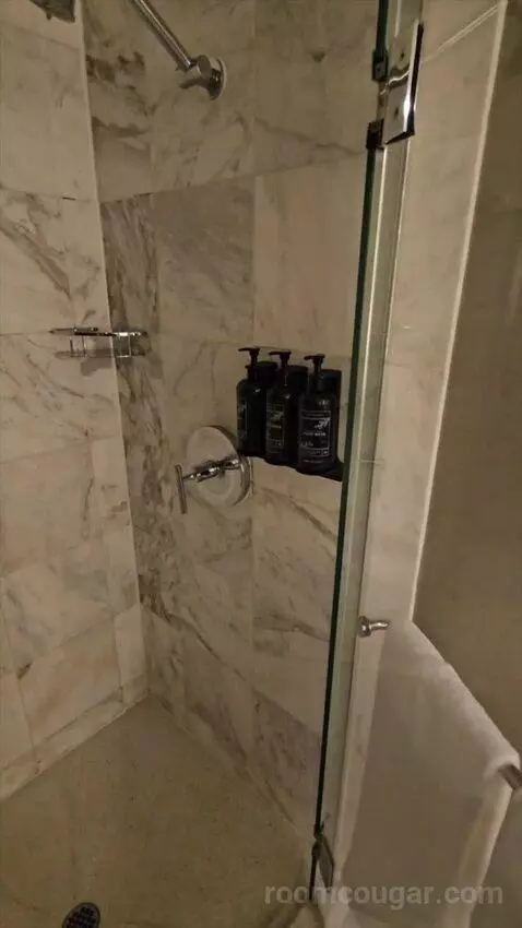 Tower Spa Suite (#13339) bathroom picture #9