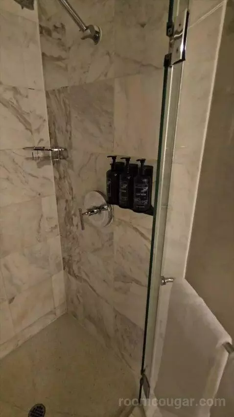 Tower Spa Suite (#13339) bathroom picture #10