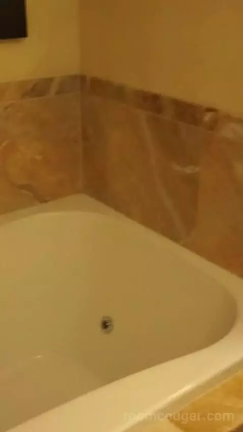 Superior King Room (#2103) bathroom picture #2