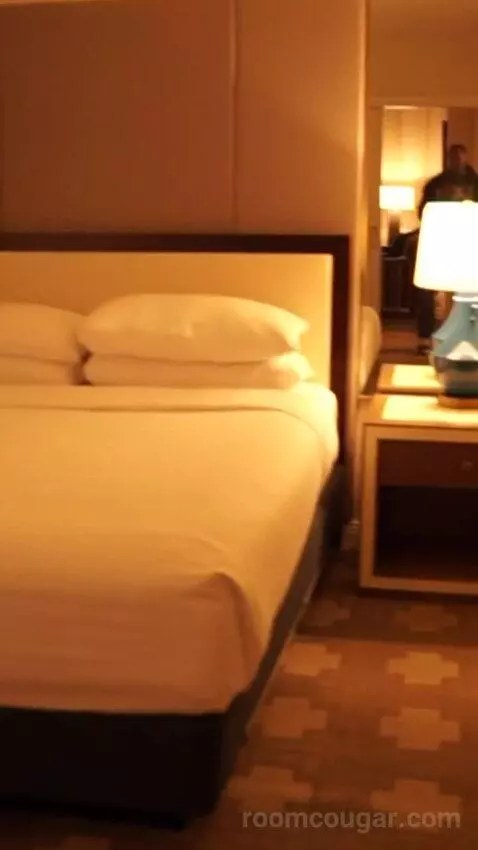 Julius Studio Suite King (#1452) bed picture #2