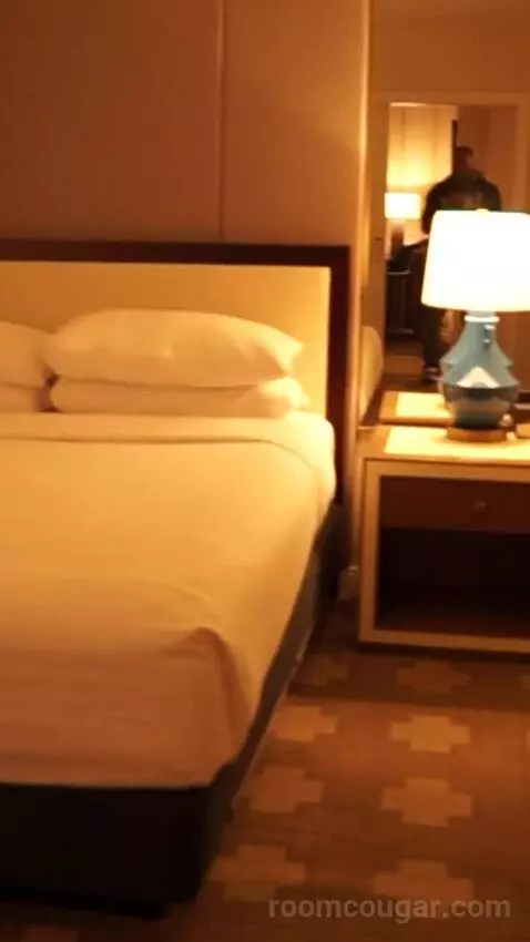 Julius Studio Suite King (#1452) bed picture #3