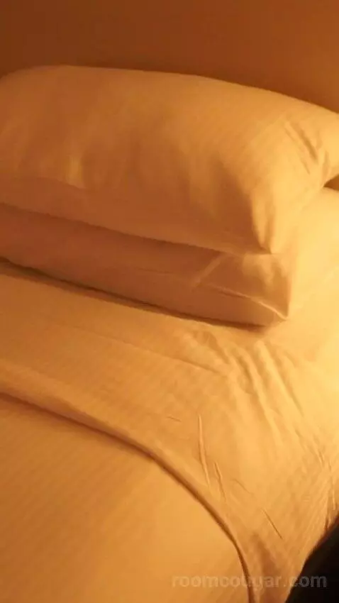 Julius Studio Suite King (#1452) bed picture #7
