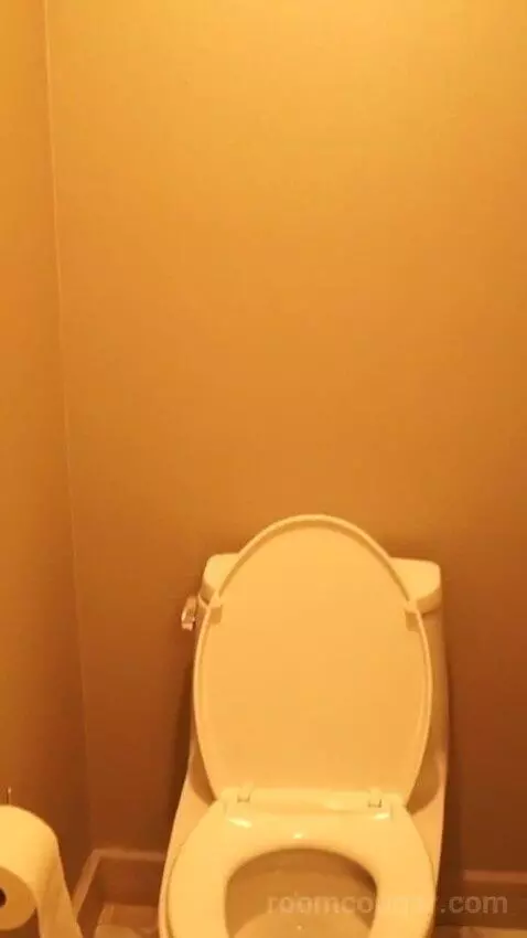 Julius Studio Suite King (#1452) bathroom picture #4