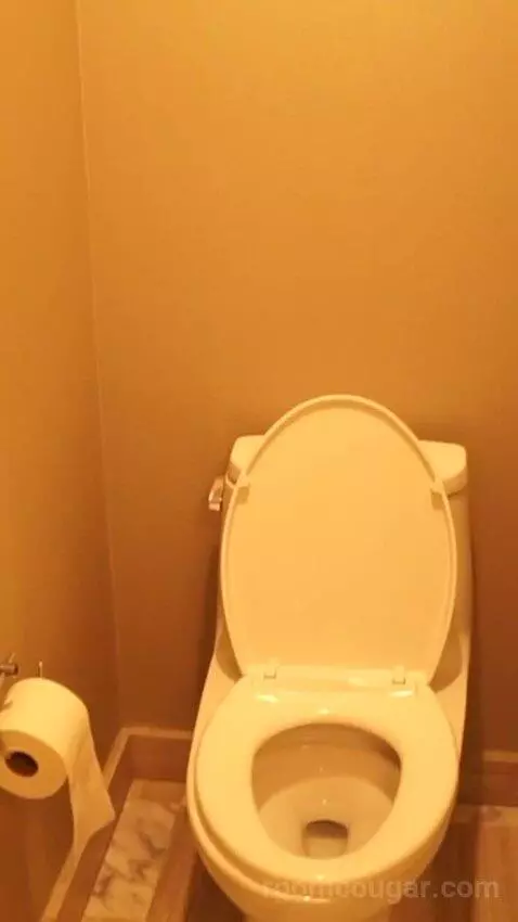 Julius Studio Suite King (#1452) bathroom picture #6