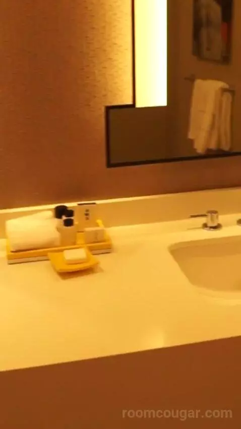 Julius Studio Suite King (#1452) bathroom picture #8