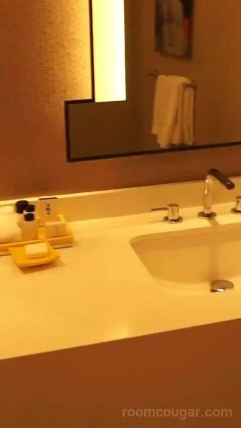 Julius Studio Suite King (#1452) bathroom picture #9