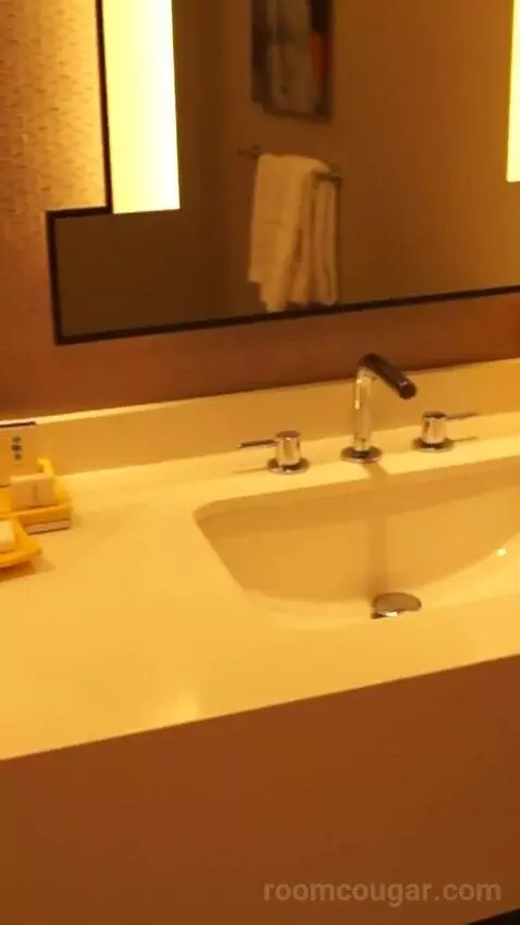 Julius Studio Suite King (#1452) bathroom picture #10