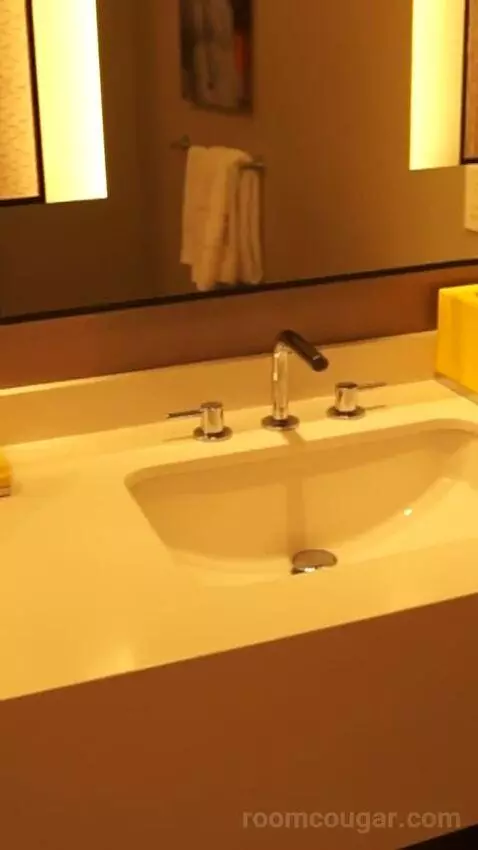 Julius Studio Suite King (#1452) bathroom picture #11