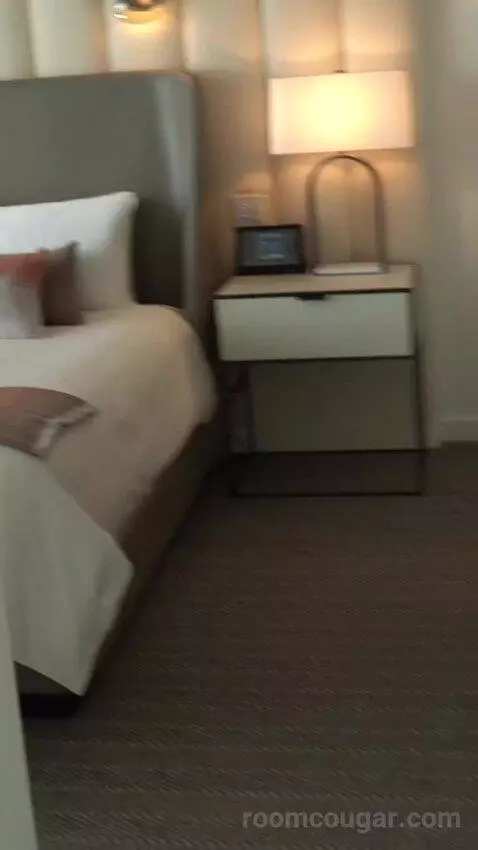 thevegasparadise's review preview (ARIA Resort & Casino)